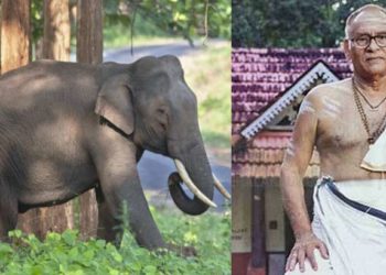 arikkomban| bignewslive