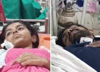 elephant attack | bignewslive