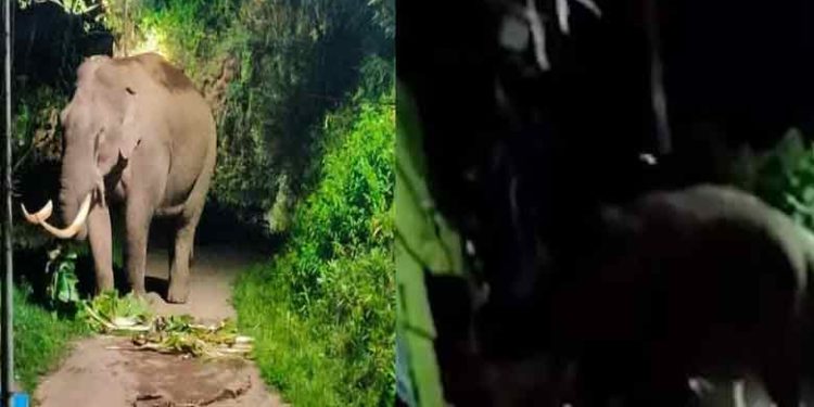 padayappa| bignewslive