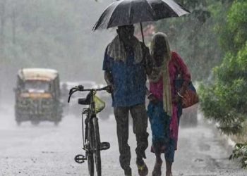 เดเดจเดคเตเดค เดฎเดด เดคเตเดเดฐเตเดจเตเดจเต: เดเดพเดธเตผเดเตเดเต, เดเดฃเตเดฃเตเตผ เดเดฟเดฒเตเดฒเดฏเดฟเดฒเต เดธเตโเดเตเดณเตเดเตพเดเตเดเต เดจเดพเดณเต เด
เดตเดงเดฟ