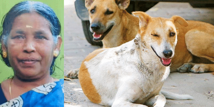 തെരുവ് നായ ആക്രമണം; ചികിത്സയ്ക്കിടെ പേവിഷബാധ സ്ഥിരീകരിച്ചു, ഒടുവില്‍ മരണത്തിന് കീഴടങ്ങി വീട്ടമ്മ