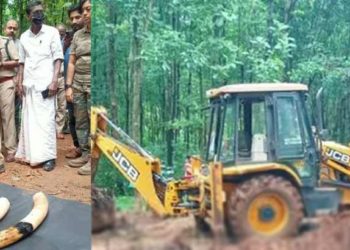 തൃശൂരിൽ കാട്ടാനയെ റബർ തോട്ടത്തിൽ കൊന്ന് കുഴിച്ചുമൂടിയ നിലയിൽ; ജഡത്തിന് രണ്ട് മാസം പഴക്കം; ഉടമ ഒളിവിൽ; കൊമ്പിന്റെ ഭാഗം കടത്തിയെന്ന് സംശയം