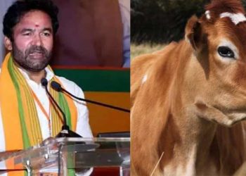 ‘ഗോമാത’യെ ദേശീയ മൃഗമായി പ്രഖ്യാപിക്കാൻ കേന്ദ്രസർക്കാർ ഉദ്ദേശിക്കുന്നില്ല; കടുവ തന്നെ ദേശീയ മൃഗമെന്ന് കേന്ദ്രമന്ത്രി