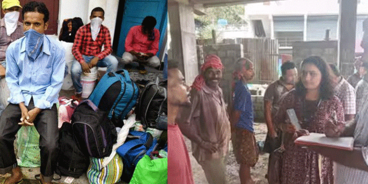 ഇതരസംസ്ഥാന തൊഴിലാളികള് താമസിക്കുന്ന സ്ഥലങ്ങളില് വ്യാപക പരിശോധന, കണ്ടെത്തിയത് നിരവധി നിയമലംഘനങ്ങള്