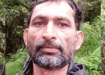 വയനാട്ടില്‍ കാട്ടാനയുടെ ആക്രമണത്തില്‍ വനംവാച്ചര്‍ കൊല്ലപ്പെട്ട സംഭവം; തങ്കച്ചന്റെ കുടുംബത്തിന് 11 ലക്ഷം നഷ്ടപരിഹാരം