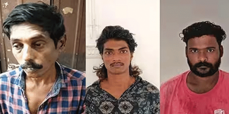 സംസ്ഥാനത്ത് വന്‍ കഞ്ചാവ് വേട്ട; 3 പേര്‍ അറസ്റ്റില്‍