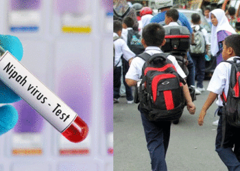 നിപ ജാഗ്രത; ഇന്നും നാളെയും അവധി, കോഴിക്കോട് ജില്ലയിലെ വിദ്യാഭ്യാസ സ്ഥാപനങ്ങള്‍ക്ക് രണ്ട് ദിവസം അവധി പ്രഖ്യാപിച്ചു