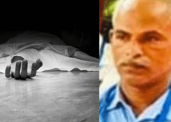പന്നിയെ തുരത്താന്‍ സ്ഥാപിച്ച വൈദ്യുതി വേലിയില്‍ നിന്നും ഷോക്കേറ്റു, പാലക്കാട് വയോധികന് ദാരുണാന്ത്യം