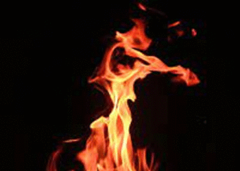 เด
เดตเดฟเดตเดพเดนเดฟเดคเดฏเดพเดฏ เดฎเดเดณเตโ เดเดฐเตโเดญเดฟเดฃเดฟ, เดเดพเดเตเดเดฟเดฒเตโ เดเตเดฃเตเดเตเดชเตเดฏเดฟ เดคเตเดเตเดณเตเดคเตเดคเดฟ เด
เดฎเตเดฎเดฏเตเด เดธเดนเตเดฆเดฐเดจเตเด! เด
เดฑเดธเตเดฑเตเดฑเต