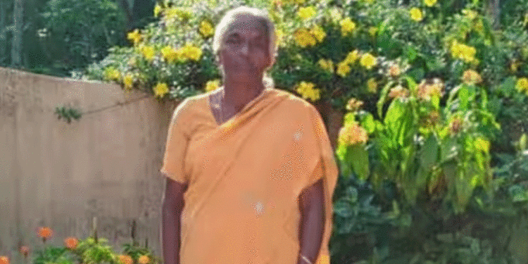 പാലക്കാട് പന്നിക്ക് വെച്ച കെണിയില്‍ കുടുങ്ങി 63കാരിക്ക് ദാരുണാന്ത്യം