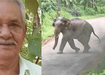 ഉളിക്കലില്‍ ആന ഓടിയ വഴിയില്‍ മൃതദേഹം; ആന്തരികാവയവങ്ങള്‍ പുറത്ത്, മരണം ആനയുടെ ചവിട്ടേറ്റെന്ന് വനംവകുപ്പ്