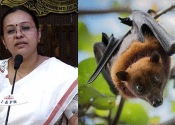 വയനാട്ടില്‍ വവ്വാലുകളില്‍ നിപ വൈറസ് സാന്നിധ്യം സ്ഥിരീകരിച്ചു, ജാഗ്രത പാലിക്കണമെന്ന് മന്ത്രി വീണ ജോര്‍ജ്