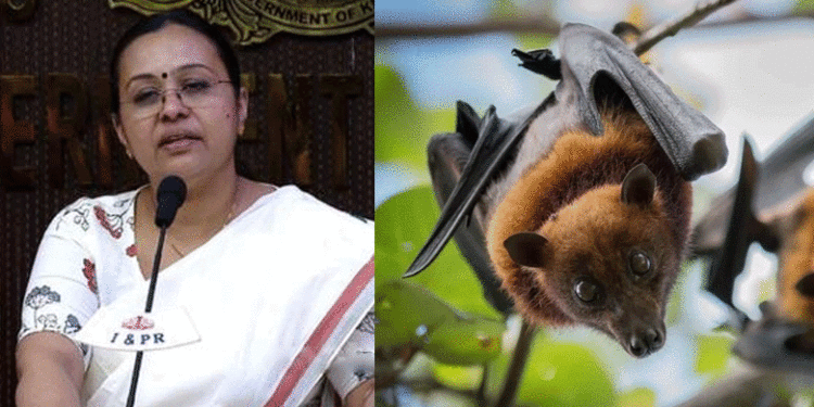 വയനാട്ടില്‍ വവ്വാലുകളില്‍ നിപ വൈറസ് സാന്നിധ്യം സ്ഥിരീകരിച്ചു, ജാഗ്രത പാലിക്കണമെന്ന് മന്ത്രി വീണ ജോര്‍ജ്