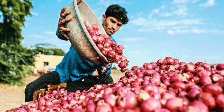 ‘തൊട്ടാല്‍ പൊള്ളും’; സംസ്ഥാനത്ത് ഉള്ളി വില കുതിക്കുന്നു