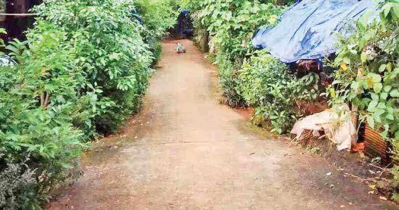 സ്വന്തം പേരിൽ ഒരു തുണ്ട് ഭൂമിക്ക് വേണ്ടി കാത്തിരുന്നത് മൂന്ന് പതിറ്റാണ്ട്; ഒടുവിൽ 3 സെന്റിന് ഉടമകളായി പെരിന്തൽമണ്ണയിലെ 13 കുടുംബങ്ങൾ