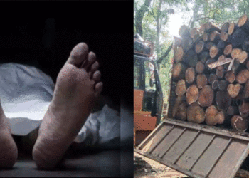 ലോറിയില് നിന്ന് മരത്തടി ദേഹത്ത് വീണ് 53കാരന് ദാരുണാന്ത്യം