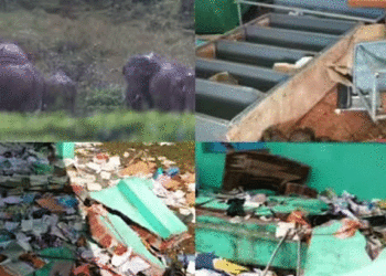 വാല്‍പ്പാറയില്‍ കാട്ടാനക്കൂട്ടങ്ങള്‍ സ്‌കൂള്‍ തകര്‍ത്തു, ഭീതിയില്‍ വിദ്യാര്‍ത്ഥികള്‍