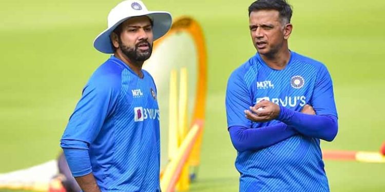 ‘അസാധാരണമായ പ്രൊഫഷണലിസം’; മുഖ്യപരിശീലകനായി ദ്രാവിഡ് തുടരും; കരാർ നീട്ടി ബിസിസിഐ