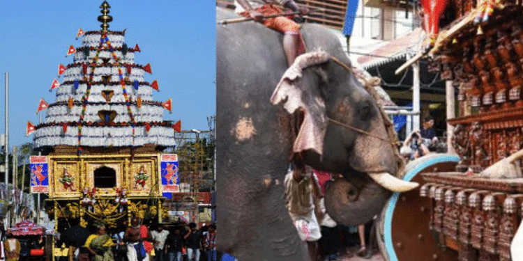 കല്‍പാത്തി രഥോത്സവം: രഥം വലിക്കാന്‍ ആന വേണ്ടെന്ന് നിര്‍ദേശം, ആന തന്നെ വലിക്കുമെന്ന് ക്ഷേത്ര കമ്മിറ്റികള്‍
