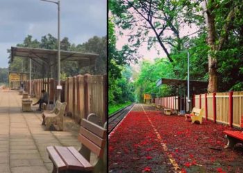 ഗുല്‍മോഹര്‍ വീണു ചുവന്ന പാതയും പച്ചപ്പ് നിറഞ്ഞകാഴ്ചകളും ഇനിയില്ല; ഷൊര്‍ണൂര്‍-നിലമ്പൂര്‍ പാതയിലെ 5000 മരങ്ങള്‍ വെട്ടും, പകരം മരംനടല്‍ ഇല്ല