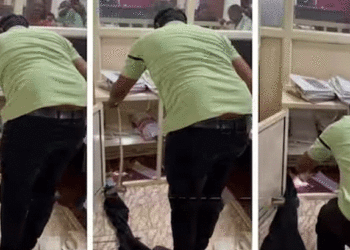 เดเตเดเดคเดฟ เดจเดเดชเดเดฟเดเดณเตโ เดคเดเดธเดชเตเดชเตเดเตเดคเตเดคเดฟ ‘เดชเดพเดฎเตเดชเต’, เดเดฃเตเดเตเดคเตเดคเดฟเดฏเดคเต เดเตเดฏเดพเดฌเดฟเดจเตเดณเดณเดฟเดฒเตโ! เดธเดเดญเดตเด เดคเตเดถเตเดฐเดฟเดฒเตโ