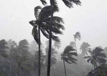 മിഷോങ് ചുഴലിക്കാറ്റ്; കനത്ത മഴയ്ക്കും കാറ്റിനും സാധ്യത, തമിഴ്‌നാട്ടിലും ആന്ധ്രയിലും ജാഗ്രത