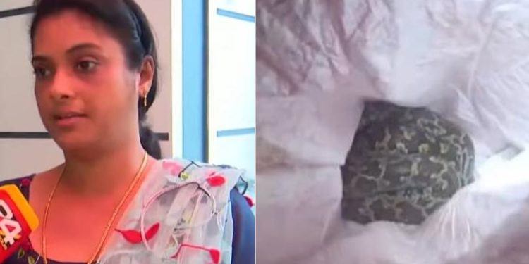 വഴിയില് നിന്നും പിടിച്ച പെരുമ്പാമ്പിനെ ഏറ്റെടുക്കാന് ഉദ്യോഗസ്ഥര് എത്താന് വൈകി; വാര്ഡ് മെംബറുടെ വീട്ടുമുറ്റത്തേക്ക് പാമ്പിനെ ചാക്കിലാക്കി എറിഞ്ഞ് പ്രതിഷേധം