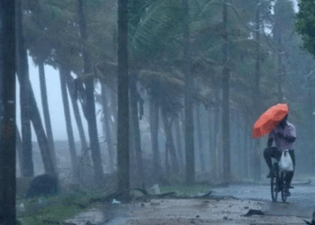 സംസ്ഥാനത്ത് 10 വരെ ഇടിമിന്നലോടുകൂടിയ മഴയും കാറ്റും! മുന്നറിയിപ്പ്