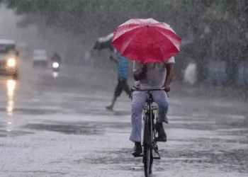 കേരളത്തില്‍ ഇന്നും നാളെയും കനത്ത മഴക്ക് സാധ്യത: ഏഴ് ജില്ലകളില്‍ യെല്ലോ അലര്‍ട്ട്