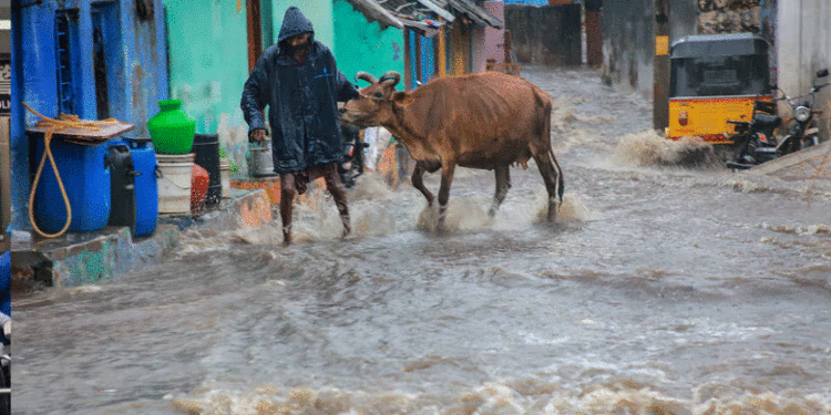 തെക്കന്‍ തമിഴ്‌നാട്ടില്‍ പ്രളയം; കേരളത്തിലൂടെയുളള 3 ട്രെയിനുകള്‍ അടക്കം 23 ട്രെയിനുകള്‍ പൂര്‍ണമായി റദ്ദാക്കി