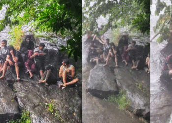 വെള്ളച്ചാട്ടം കണ്ടു നില്ക്കെ മലവെള്ളപാച്ചില്; പാറക്കെട്ടില് കുടുങ്ങിയ വിനോദ സഞ്ചാരികളെ രക്ഷപ്പെടുത്തി അഗ്നിശമന സേന