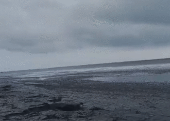 തോട്ടപ്പള്ളിയില്‍ കടല്‍ ഉള്‍വലിഞ്ഞു; സംസ്ഥാനത്ത് കള്ളക്കടല്‍ ജാഗ്രതാ നിര്‍ദേശം