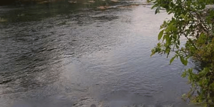 ജലനിരപ്പ് ഉയരുന്നു; മണിമല നദിയിലെ പുല്ലാക്കയർ സ്റ്റേഷനിൽ ഓറഞ്ച് അലർട്ട്, ജാഗ്രതാ നിർദ്ദേശം