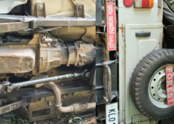 เด
เดคเดฟเดฐเดชเตเดชเดฟเดณเตเดณเดฟเดฏเดฟเดฒเตโ เดตเดจเดชเดพเดฒเดเดฐเตโ เดธเดเตเดเดฐเดฟเดเตเด เดเตเดชเตเดชเดฟเดจเต เดจเตเดฐเต เดเดพเดเตเดเดพเดจ เดเดเตเดฐเดฎเดฃเด; 2 เดชเตเดฐเตโเดเตเดเต เดชเดฐเดฟเดเตเดเต