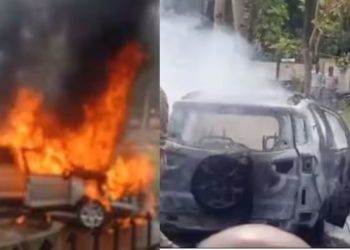 เดเดเดฟเดเตเดเตเดฃเตเดเดฟเดฐเตเดจเตเดจ เดเดพเดฑเดฟเดจเต เดคเต เดชเดฟเดเดฟเดเตเดเต, เดฆเดฎเตเดชเดคเดฟเดเตพ เดฐเดเตเดทเดชเตเดชเตเดเตเดเดคเต เดคเดฒเดจเดพเดฐเดฟเดดเดฏเตเดเตเดเต, เดจเดเตเดเตเดเด