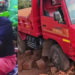 ഡ്രൈവര്ക്ക് ഹൃദയാഘാതം, നിയന്ത്രണം വിട്ട് ലോറി മുന്നോട്ട് നീങ്ങി 3 പേര്ക്ക് പരിക്ക്