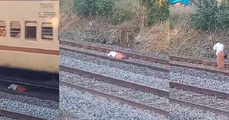 train|bignewslive