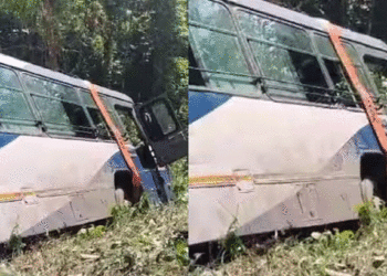 കെഎസ്ആര്‍ടിസി ബസ് കൊക്കയിലേക്ക് മറിഞ്ഞ്‌ അപകടം: 8 ശബരിമല തീര്‍ഥാടകര്‍ക്ക് പരിക്ക്