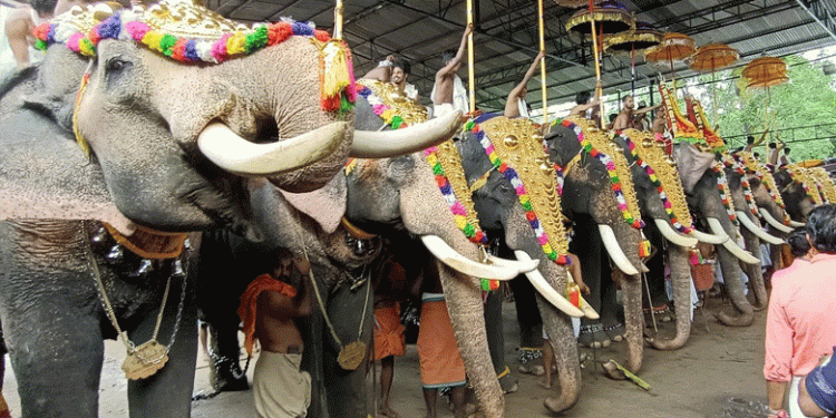 ഉത്സവത്തിന് ആനയെഴുന്നള്ളിപ്പ്: മാര്ഗനിര്ദേശം പുറപ്പെടുവിച്ചു