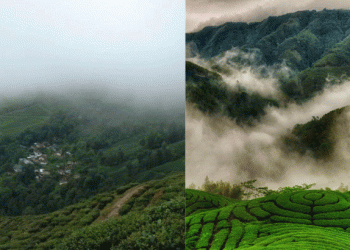 തണുത്ത് വിറച്ച് മൂന്നാര്‍.., വീണ്ടും താപനില പൂജ്യത്തിലെത്തി