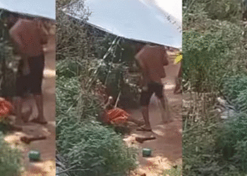 പുല്പള്ളിയില് മദ്യലഹരിയില് മകന് അമ്മയെ ക്രൂരമായി മര്ദ്ദിച്ച് ബോധരഹിതയാക്കി, ക്രൂരത