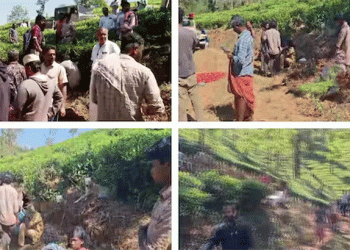 മനുഷ്യ-മൃ​ഗ സംഘർഷം: വയനാടിന് 50 ലക്ഷം അനുവദിച്ച് ദുരന്തനിവാരണ വകുപ്പ്