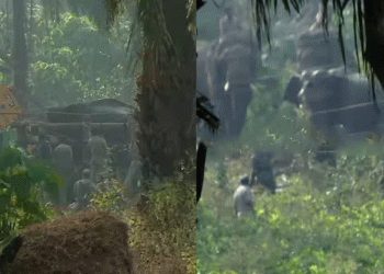 അതിരപ്പിള്ളി ആന ദൗത്യം പൂര്‍ണം; കാട്ടുകൊമ്പനെ അനിമല്‍ ആംബുലന്‍സിലേക്ക് മാറ്റി, വിദഗ്ധ ചികിത്സ നല്‍കും