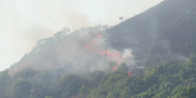 കമ്പമലയിൽ വീണ്ടും തീപിടിത്തം; വനത്തിൽ ആരോ തീയിട്ടതാകാമെന്ന് മാനന്തവാടി ഡിഎഫ്ഒ