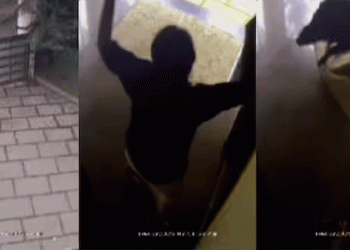 വീട്ടില്‍ പത്രം വായിച്ചിരിക്കെ യുവാവിന് നേരെ പാഞ്ഞടുത്ത് കാട്ടുപന്നി, രക്ഷപ്പെട്ടത് തലനാരിഴക്ക്