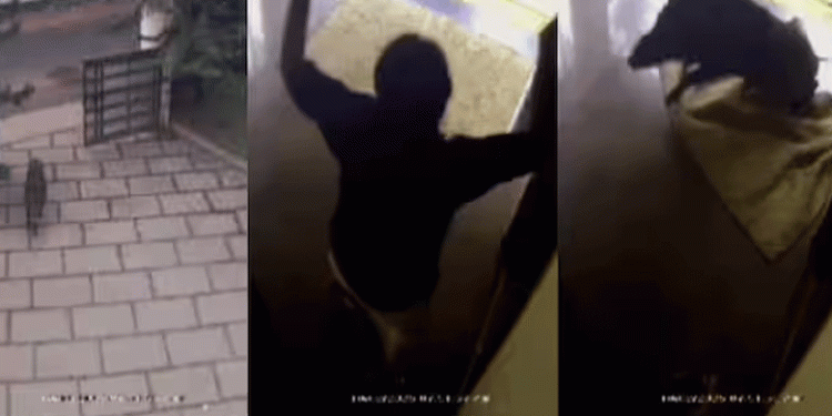 വീട്ടില് പത്രം വായിച്ചിരിക്കെ യുവാവിന് നേരെ പാഞ്ഞടുത്ത് കാട്ടുപന്നി, രക്ഷപ്പെട്ടത് തലനാരിഴക്ക്