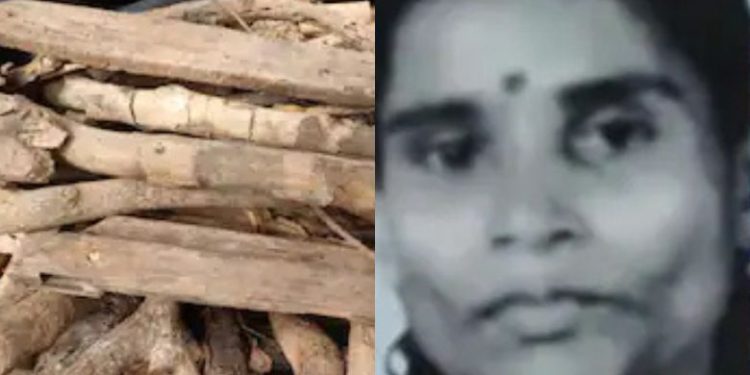 വീട്ടിലെ വിറകുപുരയില് നിന്ന് വിറക് എടുക്കവെ പാമ്പ് കടിയേറ്റു, 61കാരിക്ക് ദാരുണാന്ത്യം