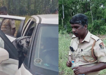 കൊല്ലത്ത് ലഹരി വേട്ടക്കിടെ എക്‌സൈസിനെ കാറിടിച്ച് അപായപ്പെടുത്താന്‍ ശ്രമം; കാര്‍ ഉപേക്ഷിച്ച് പ്രതി രക്ഷപ്പെട്ടു