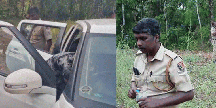 കൊല്ലത്ത് ലഹരി വേട്ടക്കിടെ എക്‌സൈസിനെ കാറിടിച്ച് അപായപ്പെടുത്താന്‍ ശ്രമം; കാര്‍ ഉപേക്ഷിച്ച് പ്രതി രക്ഷപ്പെട്ടു