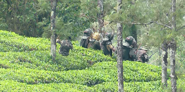 ഇടുക്കി ഗ്രാമ്പിയില്‍ ഇറങ്ങിയ കടുവയെ മയക്കുവെടിവെച്ചു